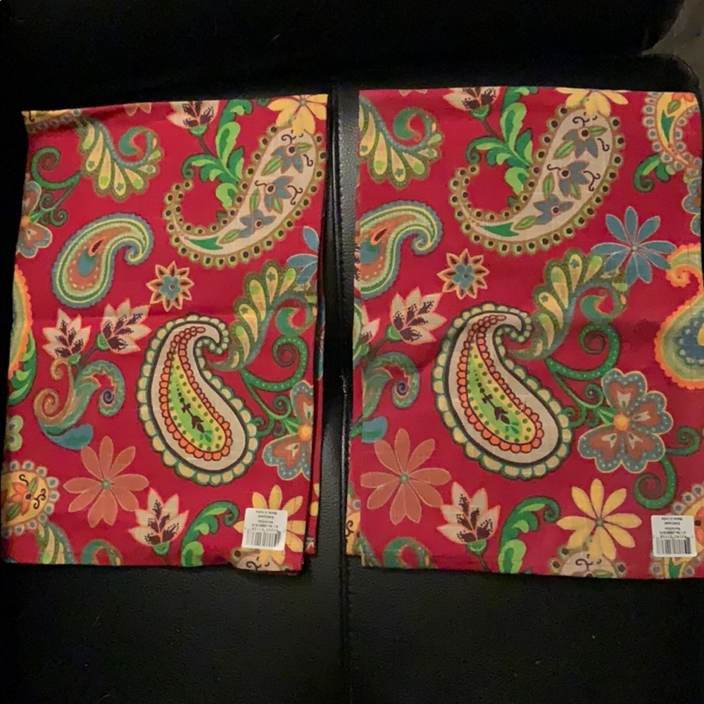 Vermillion Paisley Dish Towels Set of 2